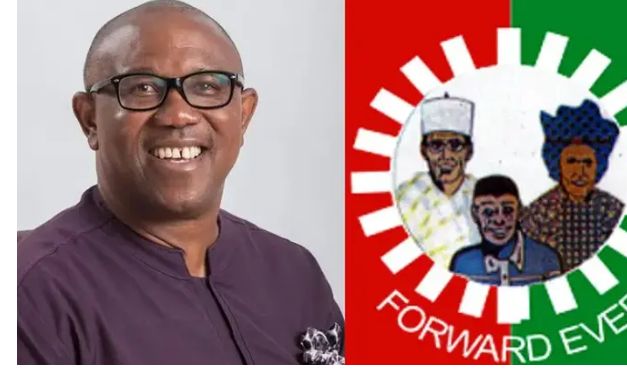 Labour Party Apologies to Voters After Peter Obi’s Defection to ADC